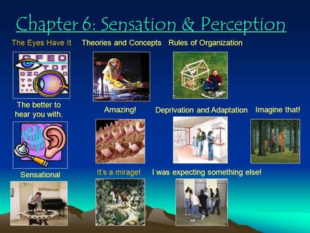 Chapter 6: Sensation & Perception Chapter 6: Sensation & Perception The Eyes Have It The better to hear you with. Sensational Theories and Concepts Amazing!