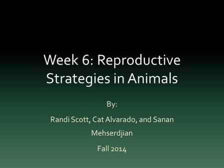 Week 6: Reproductive Strategies in Animals By: Randi Scott, Cat Alvarado, and Sanan Mehserdjian Fall 2014.