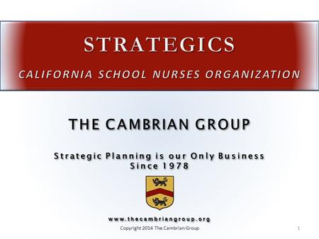 Strategic Planning is our Only Business Since 1978 THE CAMBRIAN GROUP Strategic Planning is our Only Business Since 1978www.thecambriangroup.org www.thecambriangroup.org.