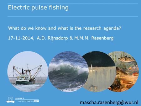 Electric pulse fishing What do we know and what is the research agenda? 17-11-2014, A.D. Rijnsdorp & M.M.M. Rasenberg