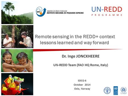 Remote sensing in the REDD+ context lessons learned and way forward Dr. Inge JONCKHEERE UN-REDD Team (FAO HQ Rome, Italy) SDCG-6 October 2014 Oslo, Norway.