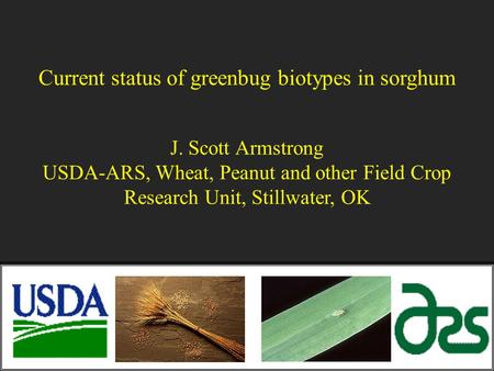 Current status of greenbug biotypes in sorghum J. Scott Armstrong USDA-ARS, Wheat, Peanut and other Field Crop Research Unit, Stillwater, OK.