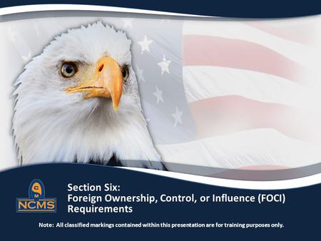 Section Six:   		Foreign Ownership, Control, or Influence (FOCI)