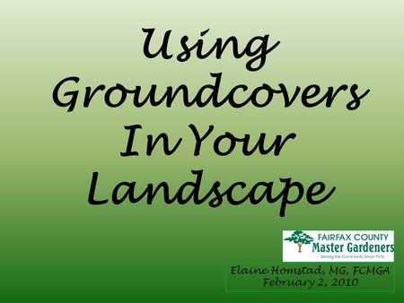 Using Groundcovers In Your Landscape Elaine Homstad, MG, FCMGA February 2, 2010.