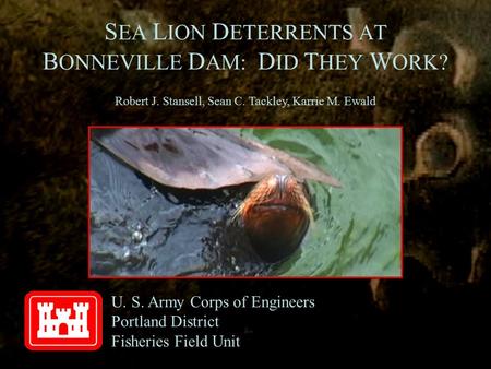 S EA L ION D ETERRENTS AT B ONNEVILLE D AM: D ID T HEY W ORK? U. S. Army Corps of Engineers Portland District Fisheries Field Unit Robert J. Stansell,