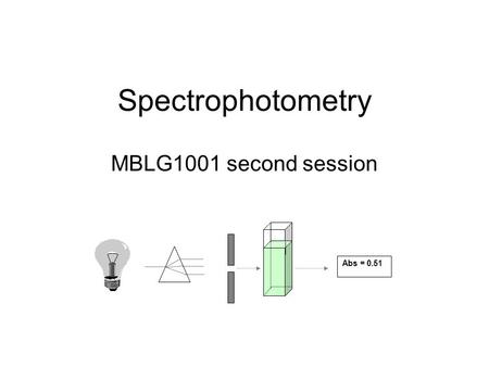 Spectrophotometry MBLG1001 second session Abs = 0.51.