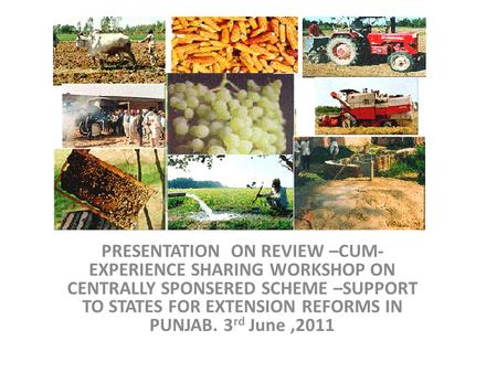 PRESENTATION ON REVIEW –CUM- EXPERIENCE SHARING WORKSHOP ON CENTRALLY SPONSERED SCHEME –SUPPORT TO STATES FOR EXTENSION REFORMS IN PUNJAB. 3 rd June,2011.