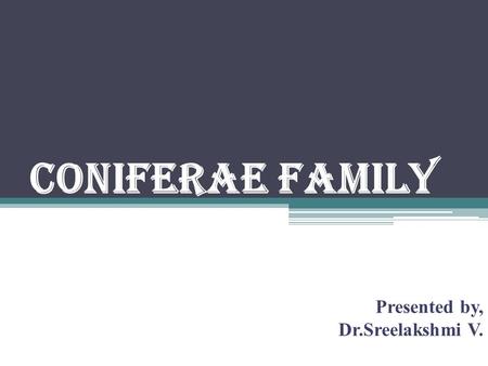 CONIFERAE FAMILY Presented by, Dr.Sreelakshmi V..