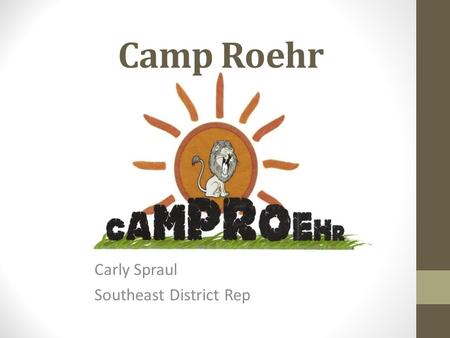 Camp Roehr Carly Spraul Southeast District Rep. What is Epilepsy? Epilepsy is a malfunction in the nervous system that causes seizures. Because of these.