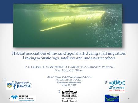 University of Delaware April 12, 2013 Habitat associations of the sand tiger shark during a fall migration: Linking acoustic tags, satellites and underwater.