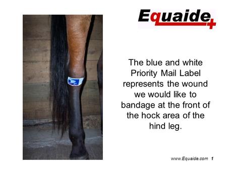 Www.Equaide.com 1 The blue and white Priority Mail Label represents the wound we would like to bandage at the front of the hock area of the hind leg.