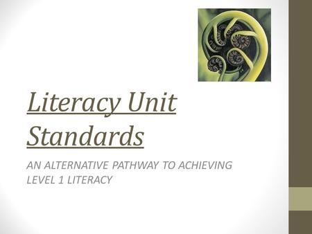 Literacy Unit Standards AN ALTERNATIVE PATHWAY TO ACHIEVING LEVEL 1 LITERACY.