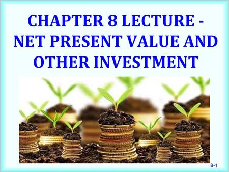 Chapter 8 Lecture - Net Present Value and Other Investment Criteria