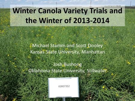 1 Winter Canola Variety Trials and the Winter of 2013-2014 Michael Stamm and Scott Dooley Kansas State University, Manhattan Josh Bushong Oklahoma State.