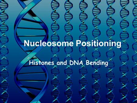 Nucleosome Positioning Histones and DNA Bending. DNA packaging 3 X 10 9 base pairs in human genome ~1 m if unraveled Compacted into nucleus –100  m in.