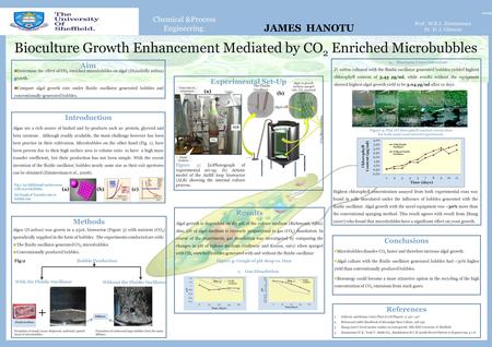 Chemical &Process Engineering. Bioculture Growth Enhancement Mediated by CO 2 Enriched Microbubbles 2009 Prof. W.B.J. Zimmerman Dr D. J. Gilmour Introduction.