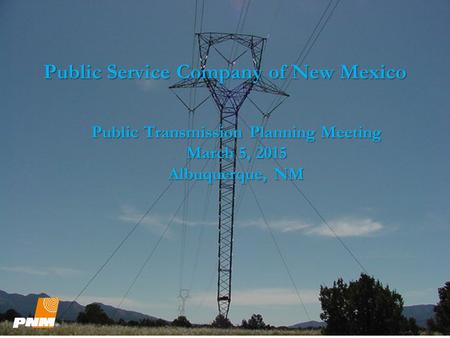 Public Service Company of New Mexico