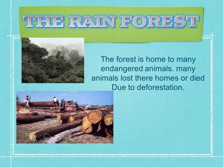 The forest is home to many endangered animals. many animals lost there homes or died Due to deforestation.