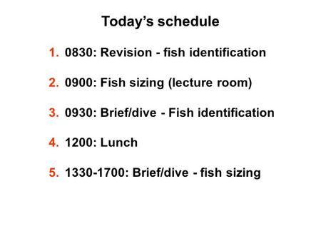 Today’s schedule 1.0830: Revision - fish identification 2.0900: Fish sizing (lecture room) 3.0930: Brief/dive - Fish identification 4.1200: Lunch 5.1330-1700: