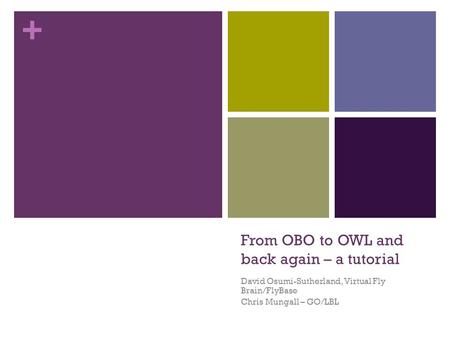 + From OBO to OWL and back again – a tutorial David Osumi-Sutherland, Virtual Fly Brain/FlyBase Chris Mungall – GO/LBL.
