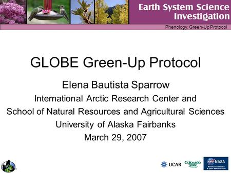 Phenology: Green-Up Protocol GLOBE Green-Up Protocol Elena Bautista Sparrow International Arctic Research Center and School of Natural Resources and Agricultural.