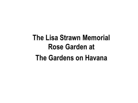 The Lisa Strawn Memorial Rose Garden at The Gardens on Havana.