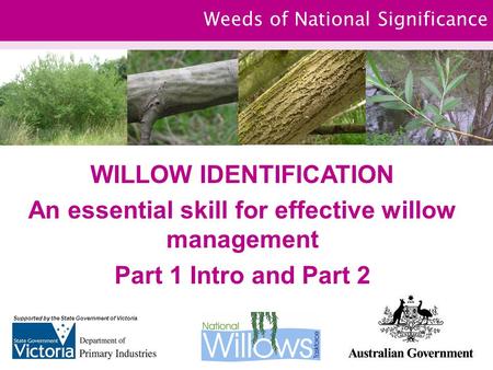 Weeds of National Significance WILLOW IDENTIFICATION An essential skill for effective willow management Part 1 Intro and Part 2 Supported by the State.