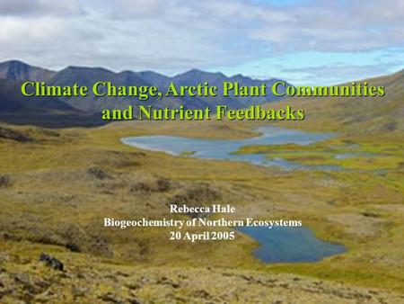 Climate Change, Arctic Plant Communities and Nutrient Feedbacks Rebecca Hale Biogeochemistry of Northern Ecosystems 20 April 2005.