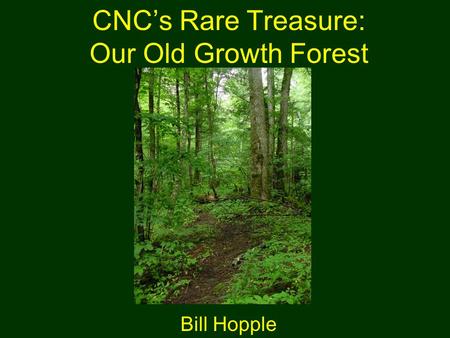 CNC’s Rare Treasure: Our Old Growth Forest Bill Hopple.