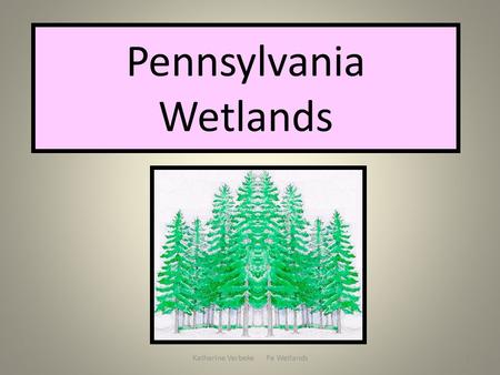 Katherine Verbeke Pa Wetlands1 Pennsylvania Wetlands.