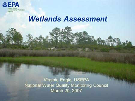 Wetlands Assessment Virginia Engle, USEPA National Water Quality Monitoring Council March 20, 2007.