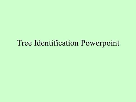 Tree Identification Powerpoint