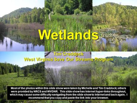 Wetlands Tim Craddock West Virginia Save Our Streams Program Most of the photos within this slide show were taken by Michelle and Tim Craddock; others.