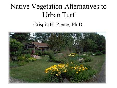 Native Vegetation Alternatives to Urban Turf Crispin H. Pierce, Ph.D.