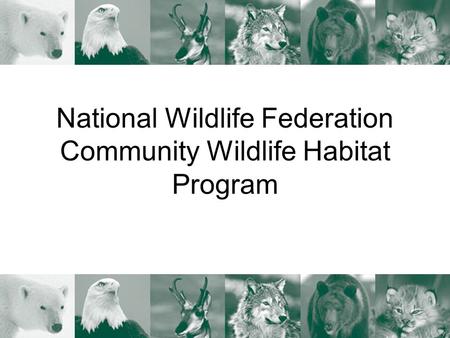 National Wildlife Federation Community Wildlife Habitat Program.