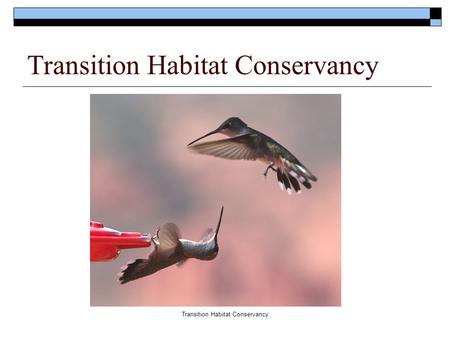 Transition Habitat Conservancy.  Mission :  Transition Habitat Conservancy is dedicated to preserving open space and natural wildlife habitat along.