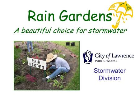 Rain Gardens A beautiful choice for stormwater Stormwater Division.