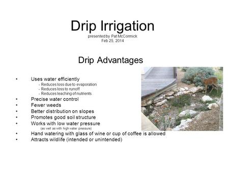 Drip Irrigation presented by Pat McCormick Feb 25, 2014