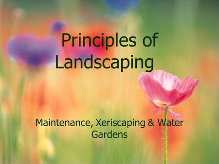 Principles of Landscaping