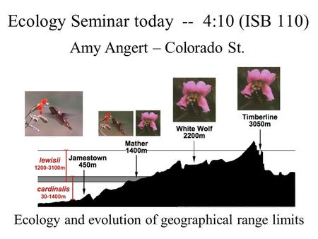 Ecology Seminar today -- 4:10 (ISB 110) Amy Angert – Colorado St. Ecology and evolution of geographical range limits.