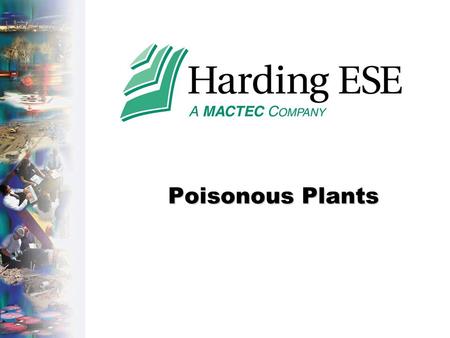 Poisonous Plants. Accident Costs-HLA.ppt - Page 2 MACTEC, Inc. Company Private Irritants - Poisonous Plants.