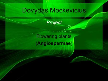 Dovydas Mockevicius Project Flowering plants (Angiospermae)