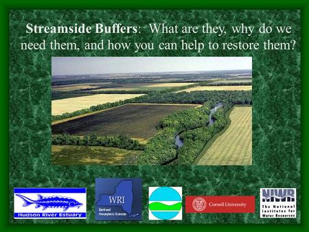 Streamside Buffers: What are they, why do we need them, and how you can help to restore them?