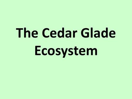 The Cedar Glade Ecosystem. What is a cedar glade? Endangered Ecosystem Characteristics: – Very thin soil layers – Exposed limestone rock – Surrounded.