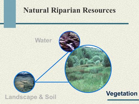 Natural Riparian Resources Landscape & Soil Water Vegetation.