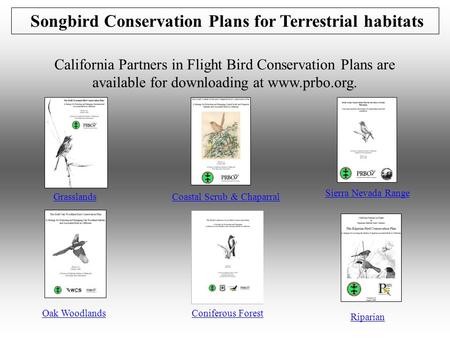 Songbird Conservation Plans for Terrestrial habitats California Partners in Flight Bird Conservation Plans are available for downloading at www.prbo.org.
