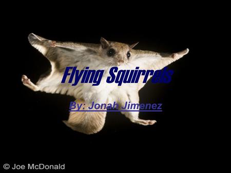 Flying Squirrels By: Jonah Jimenez. Adaptations A flying squirrel’s physical traits are it’s fur “wings” and tail. A flying squirrel’s behavioral traits.