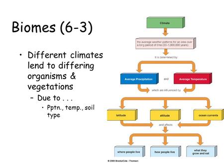 Biomes (6-3) Different climates lend to differing organisms & vegetations Due to . . . Pptn., temp., soil type.