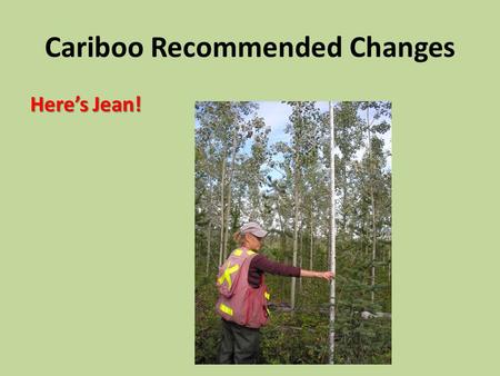 Cariboo Recommended Changes Here’s Jean!. INTERIOR Free Growing Crop Tree Appendix 9 Interpretation 2012 Is the Herb and/or Shrub vegetation taller than.