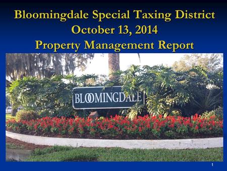 1 Bloomingdale Special Taxing District October 13, 2014 Property Management Report.